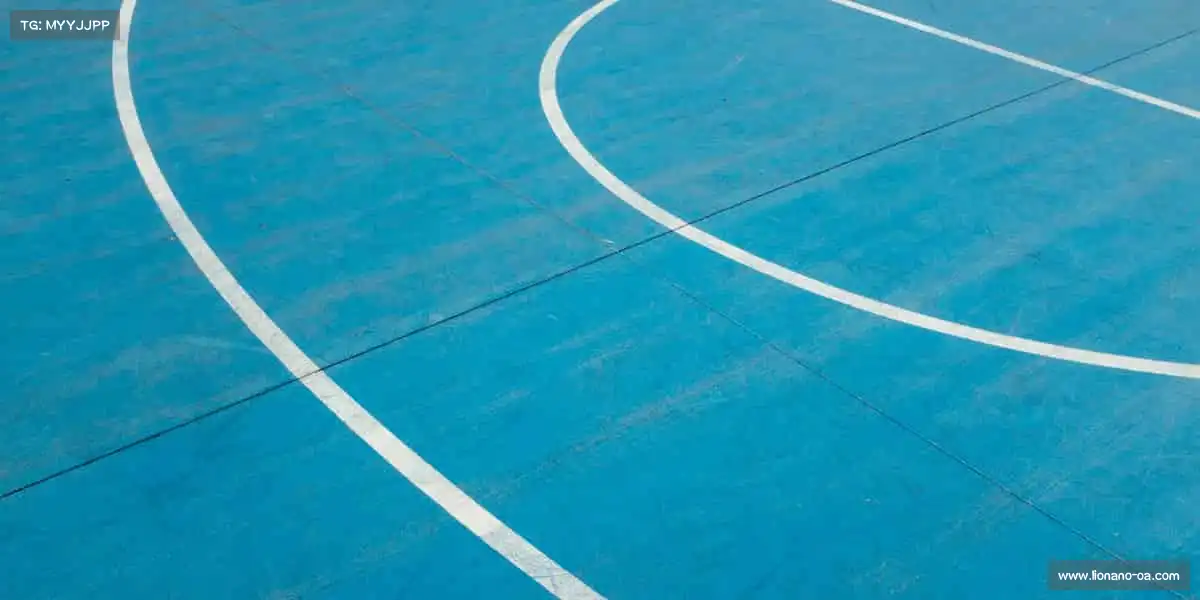 16大学生真人免费观看电视剧入口承载影像梦想，打造属于你的光影传奇🌟